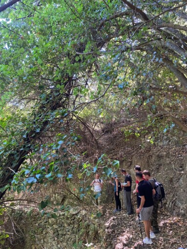 HIking to the Ottoman House