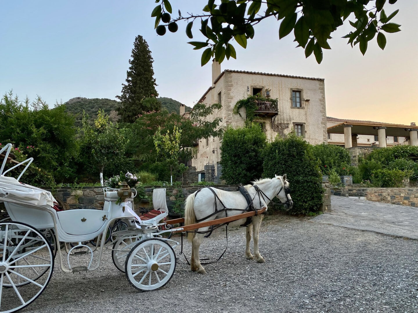 horse-carriage-ride (1)