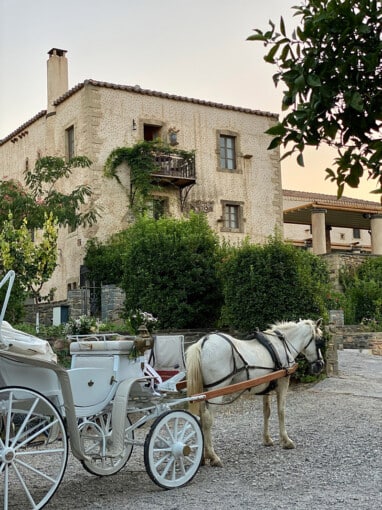 horse-carriage-ride (2)