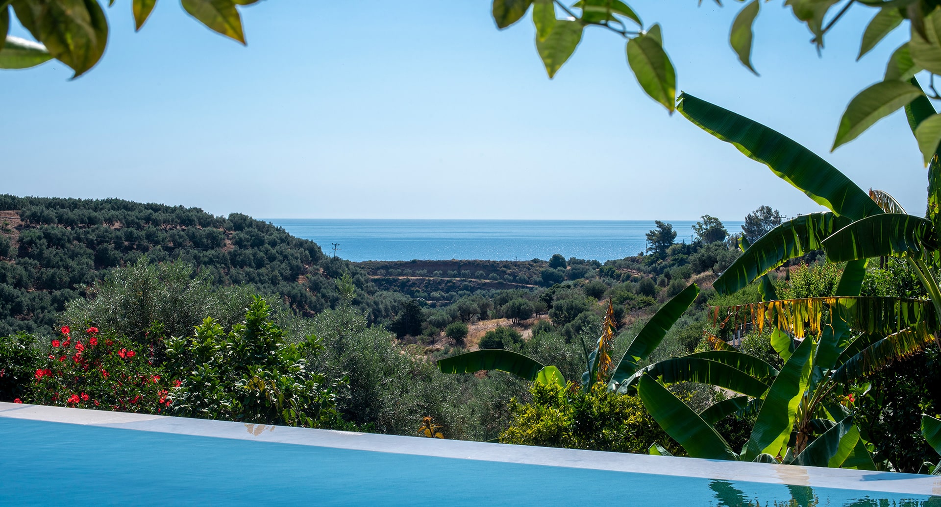 _TAL3677-PoolWEB