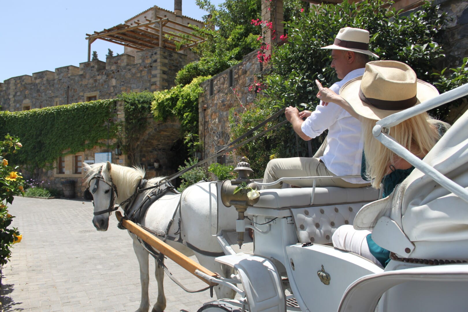 Carriage ride