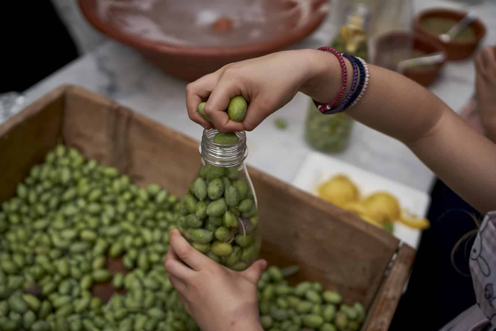 Olive picking