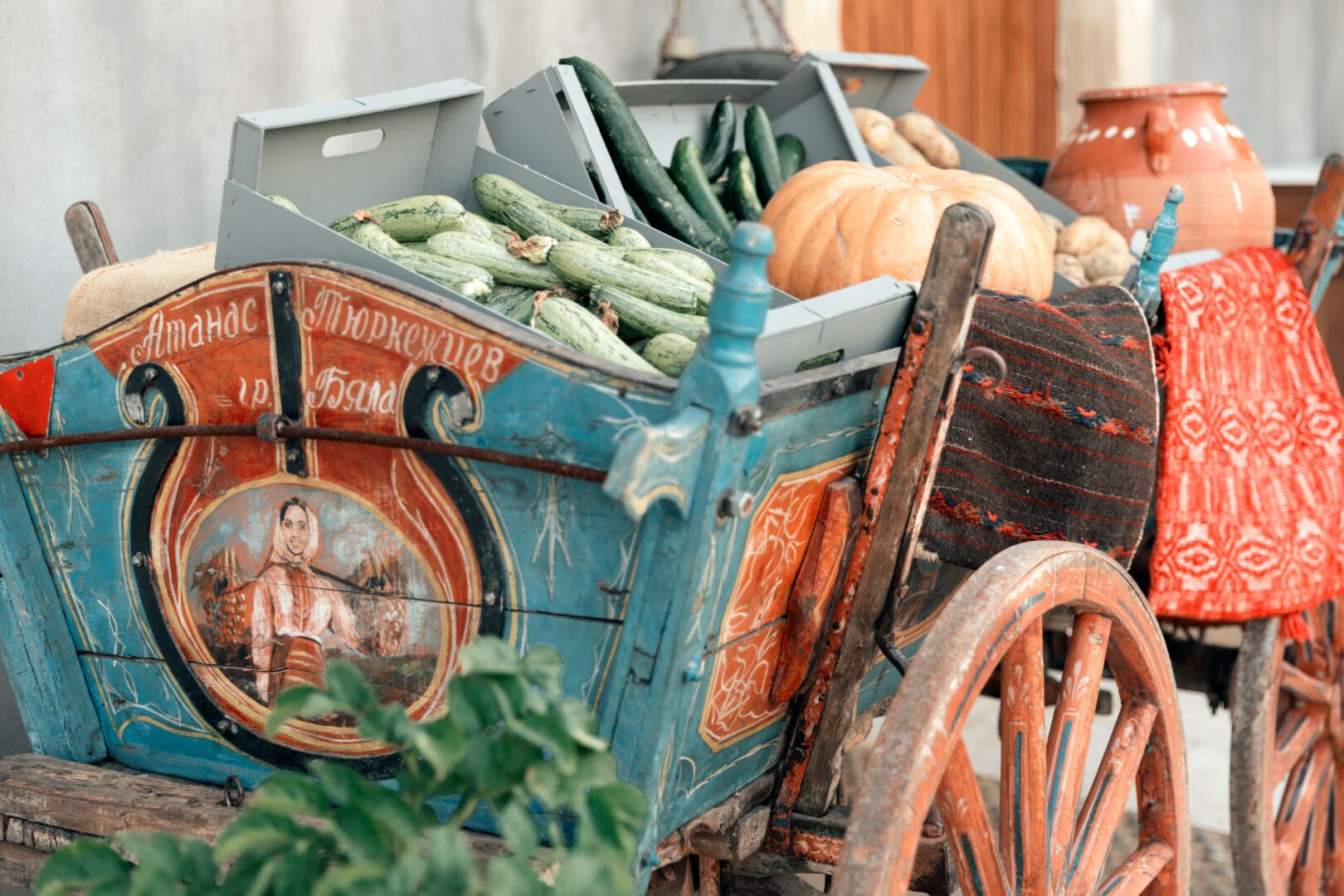 Organic Vegetables to take home