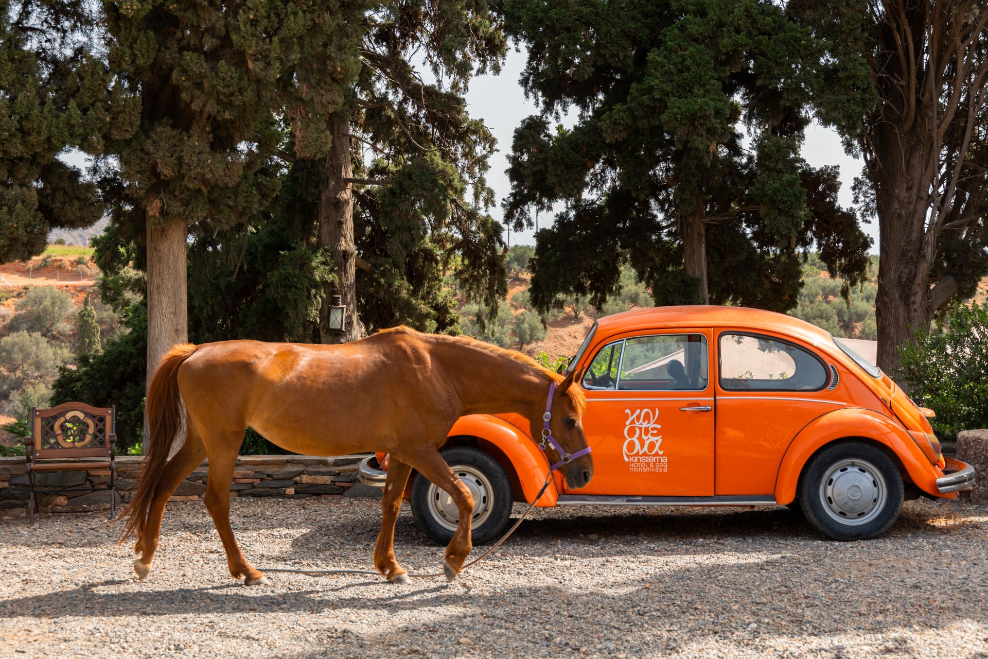 Taking care of the horses - Kinsterna Hotel (3)