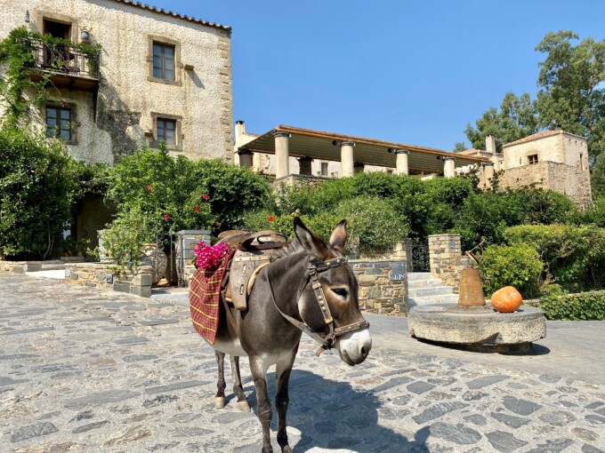 Donkey Takis - Kinsterna Hotel 5