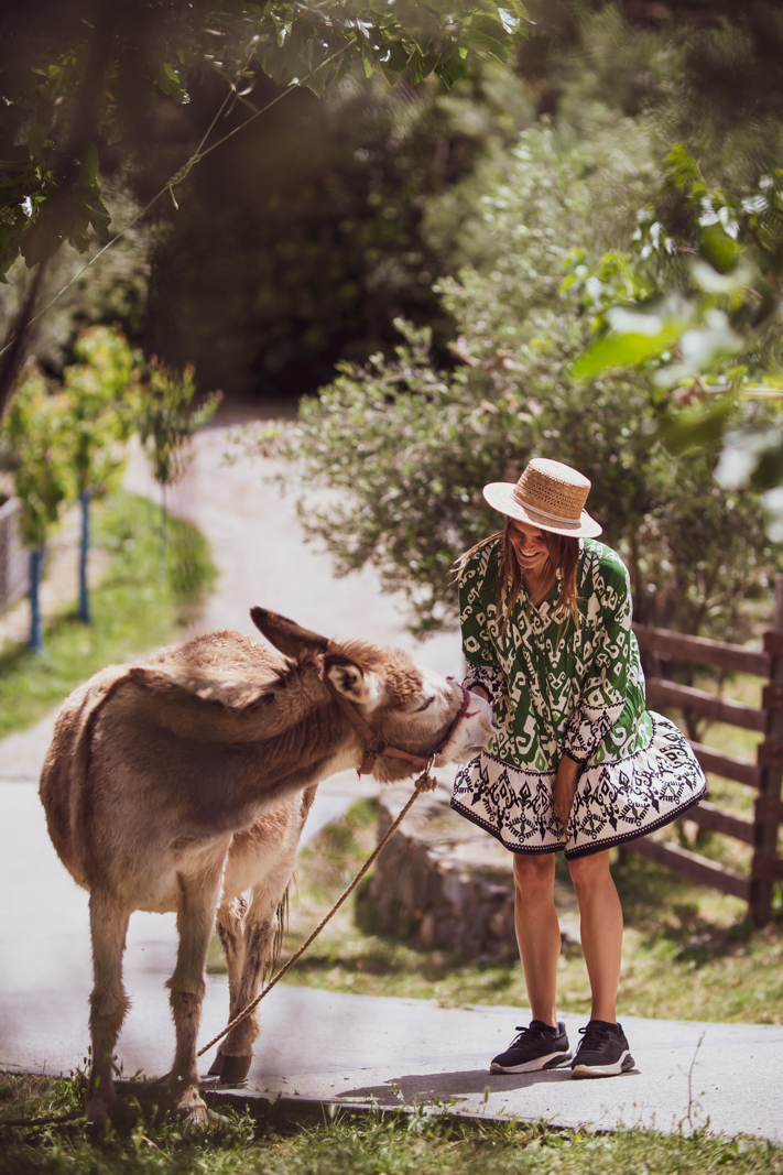 Kinsterna Hotel - donkey animal farm